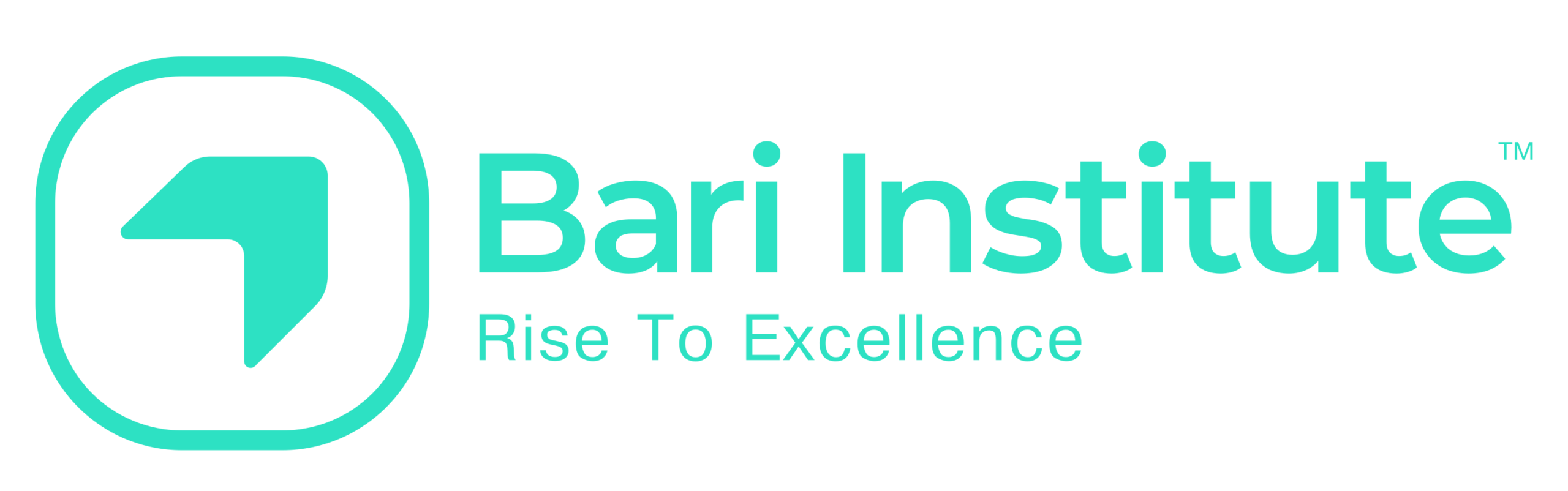 Bari Institute Logo